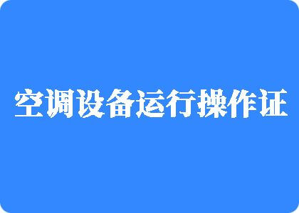 大鸡巴操逼视频日本人制冷工证