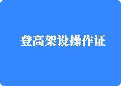 考逼片登高架设操作证